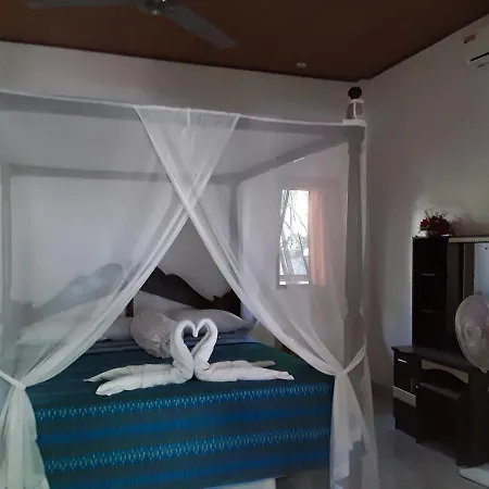 Blue Star Bungalows & Cafe