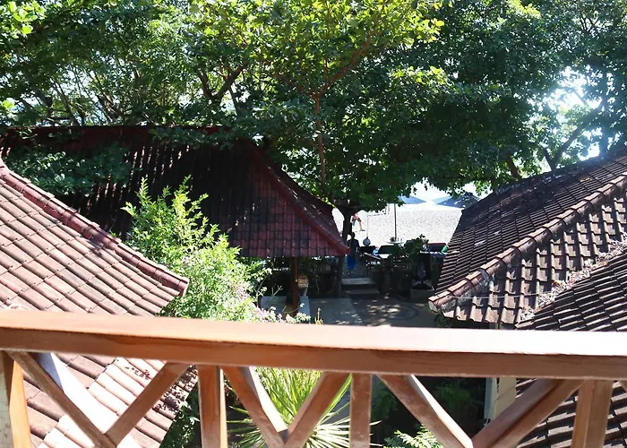 Blue Star & Cafe *